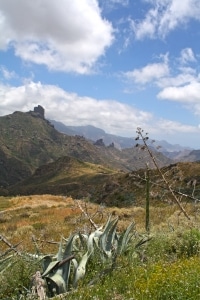 Canary-Island-Spain