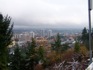 Portland Oregon Snowstorm
