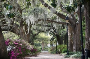Savannah Park Path Savannah GA
