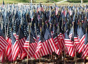 US flag veterans memorial park Tampa Florida