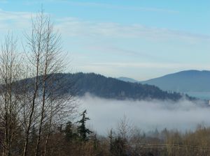 Winter Bellingham Washington