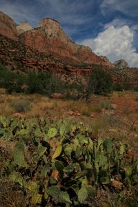Zion national park near St George Utah