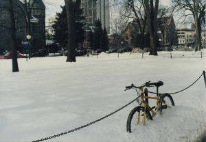 cold snowy winters Ann Arbor