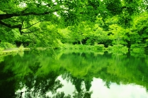 summer resort Karuizawa Japan
